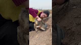 The.Xuyuanlianmaiguagua#shorts #trendingvideo #funny #trending #shorts #viralvideos, path,#01