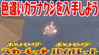 【ポケモンSV】色違いカラナクシ(にしのうみ)を入手しよう【ポケットモンスター スカーレット・バイオレット】Pocket Monsters