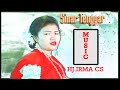 Lagu Bugis Tempo Dulu TAU RIWELAIE Voc. HJ. IRMA CS