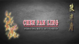 "NEW" Chen Pan Ling Authentic Tai Chi Chuan DVD