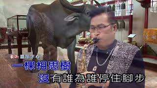 狠不下心   屏東張菲  薩克斯風 演奏