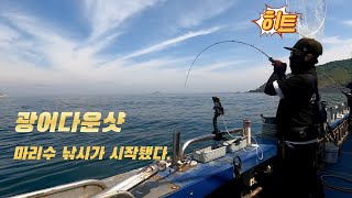 외연도권 광어들이 움직이기 시작했다! 마리수 시즌 START!! #대천항청춘호 #광어다운샷 #유앤아이피싱 #쿠로시오