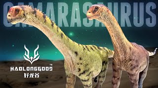 Haolonggood Camarasaurus Review!!! Both versions!!!