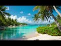 🎵chill bossa nova gentle bgm playlist🌴