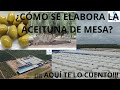 ACEITUNAS DE MESA-TE CUENTO COMO SE ELABORAN