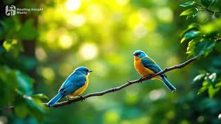 Listen to this to calm your soul 🎵  Soothing Piano with Beautiful Birds Chirping #relaxingmusic