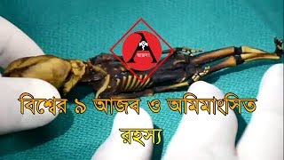 বিশ্বের ৯ আজব ও অমিমাংসিত রহস্য (পর্ব-১)