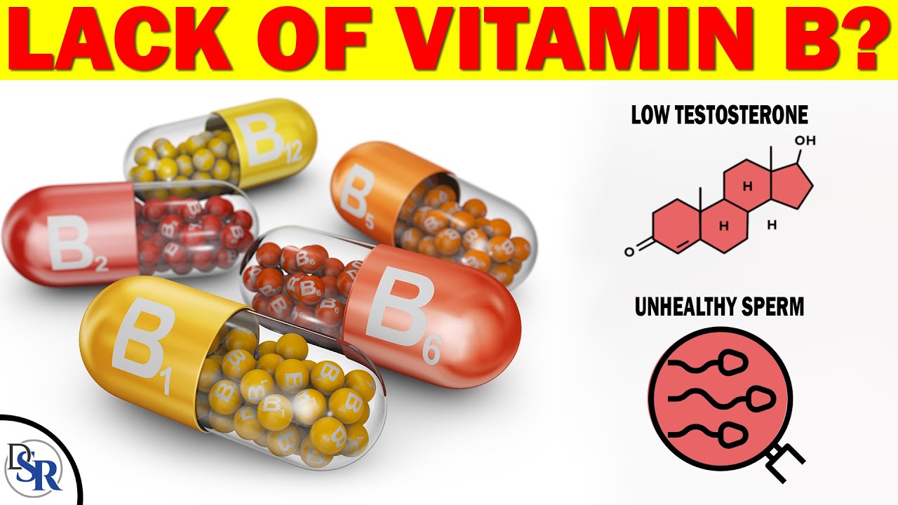 𝗩𝗶𝘁𝗮𝗺𝗶𝗻 𝗕𝟱 Causes Low Testosterone & Unhealthy Sperm - YouTube