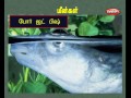 மீன்கள் fishes பிற கடல் வாழ் பிராணிகள் others sea creatures tamil nursery lessons for kids