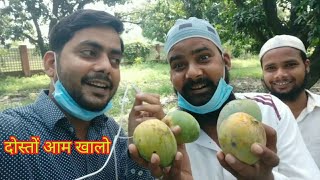 ताज़ा आम का मज़ा ,Fresh Mango ,SAJJAD NIZAMI WORLD,WORLD FAMOUS,DR ZEESHAN A.S,Youtubers ke  sath,