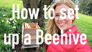 How to Set up a Beehive | Beekeeping with Maddie #9