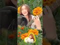 어디쯤 가고 있을까 🎧 전영ㅣ트롯여신 ♥ 서정아愛 ♬ 차돌이tv