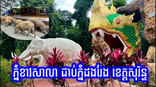 ខេត្តសុរិន្ទ វត្តភ្នំខាវសាលា ប្រាសាទយ៉ាយង៉ៅ WT Khao Sala Prasat YaiNgao