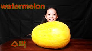 유미TV 신기한 수박이 나타났다~ 노란 수박. 과연 안쪽도 노랑색일까요?  yellow watermelon