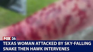 Snake fell from sky onto Texas woman, she's then attacked by hawk