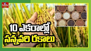 10 ఎకరాల్లో సన్నవరి రకాలు | Sanna Vari Rakalu | Paddy Cultivation | hmtv Agri