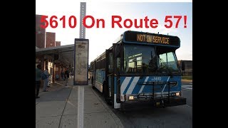 NeoplanDude | MCT Ride On 2002 Orion V #5610 On Route 57, To Lakeforest!