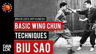 Wing Chun For Beginners Part 6: Basic Wing Chun Techniques - Biu Sao