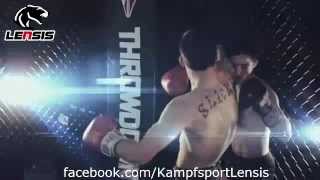 MMA Motivation - MMA Stuttgart Lensis