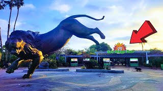 San Diego Zoo California Ultimate Full Tour Part One