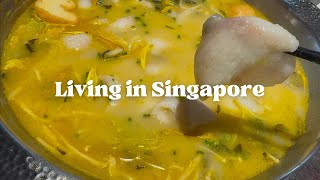 Working in Singapore | Little Pond | Watching Chef and My Fridge