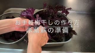 お手軽梅干しの作り方②赤紫蘇編