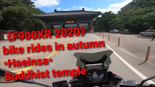 《F900XR 2020》Bike rides in autumn (Haeinsa Buddhist temple)