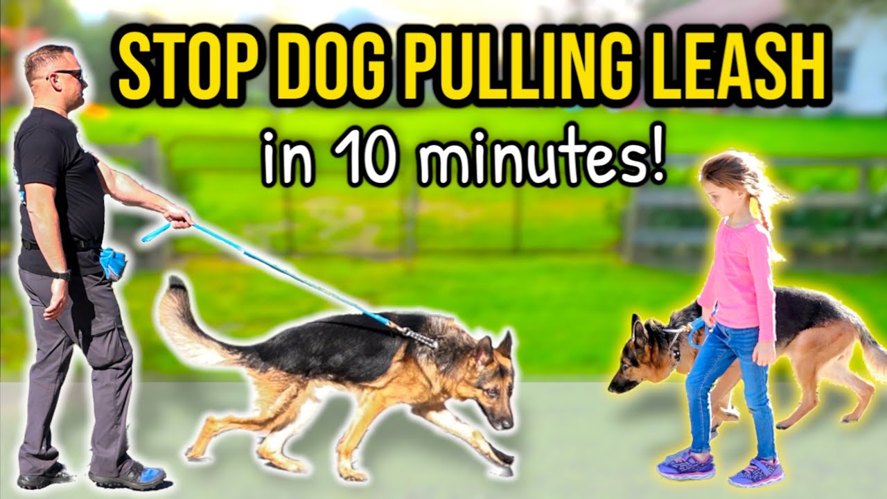 HOW TO STOP DOG PULLING ON LEASH - 10 minutes to "Perfect Walk" Guaranteed!