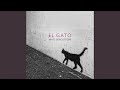 El Gato