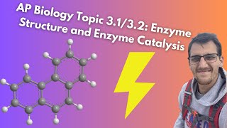 3.1/3.2 Enzyme Structure + Catalysis - AP Biology