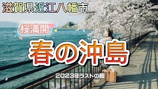 【滋賀県近江八幡市】春の沖島★おきしま通船で桜満開の沖島へ