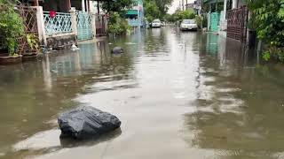 Rain தமிழகத்தில் பலத்த மழை பாதுகாப்பாக இருங்கள்...