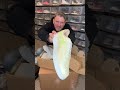 the john geiger 2024 mystery box unboxing by jeremy u0026 jo’s kicks