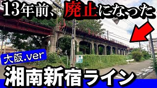 【09年廃止】大阪ver「湘南新宿ライン」、背景に何が？ （阪和貨物線）