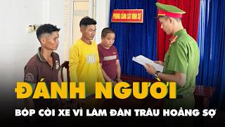 Đánh người vì cho rằng bóp còi xe làm đàn trâu hoảng sợ, 3 người bị bắt giam