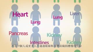 器官捐赠和移植：如何运作 - Organ Donation and Transplantation: How Does it Work?