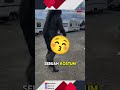 viral‼️ beginilah serigala perwujudan manusia😱