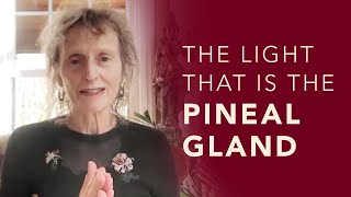 The Light that is the Pineal Gland | Marlies Myoku Cocheret