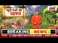 bahraich wolf attack शहर शहर खूनी पंजों की दहशत sitapur lakhimpur tiger bhediya top news