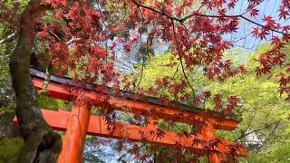 招き入れる貴船神社本宮の風