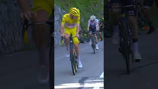 Dominant display from Pogačar 🔥 #TDF #TDF2024 #Shorts