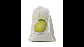 ScentBagz Air Freshener - microburst 3000 refills