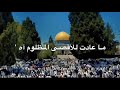 سنصلي في القدس | حسين الاكرف 4k