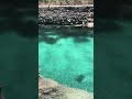 グアム🇬🇺エメラルドバレー　 shorts guam グアム グアム旅行