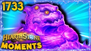 NEW YEAR, Hearthstone Is Finally Balanced? | Hearthstone Daily Moments Ep.1733