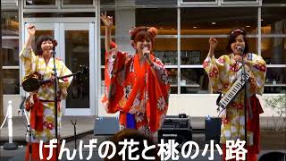 2023'5/28 sun Bayside folk jamboree in ベイサイドプレイス博多♫げんげの花と桃の小路-PANDA MONKEYS