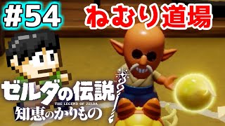 【実況】これが本当のゼルダの伝説！？ゼルダの伝説知恵のかりものをツッコミ実況Part54