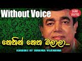 Nethin Netha Balala Karaoke Without Voice By Rohana Bogoda Songs