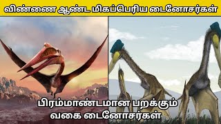 உலகை ஆண்ட பறக்கும் வகை டைனோசர்கள் | random facts, unknown facts, facts | #shorts