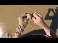 tips for catching thick stumpy beach worms for bait